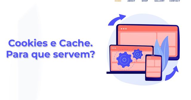 Cookies e Cache. Para que servem